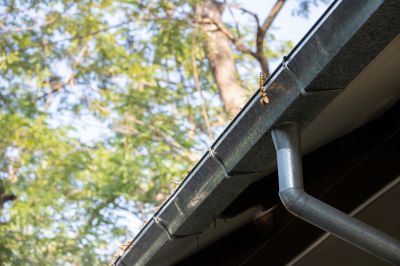 Expert Gutter Cover Advice