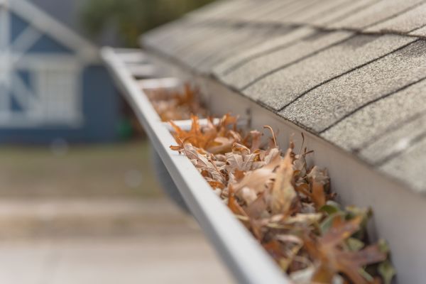 Leaf Barrier Installation in Carmel